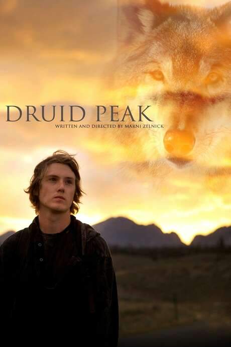 Druid Peak (2014) movie poster