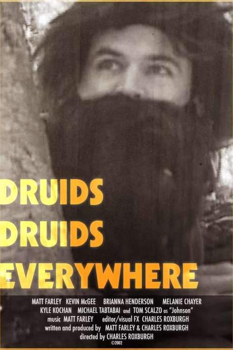 Druids Druids Everywhere (2004) movie poster