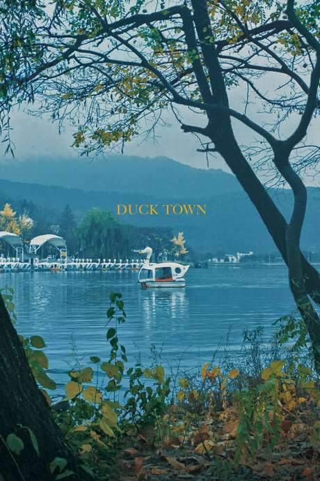 Duck Town (2017) movie poster