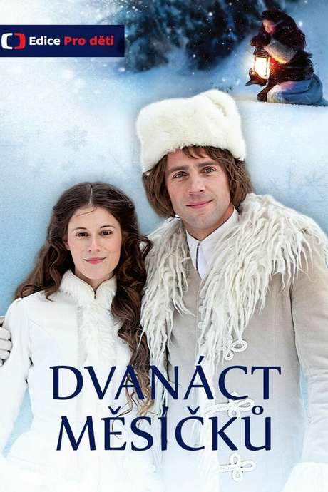 Dvanáct měsíčků (1992) movie poster