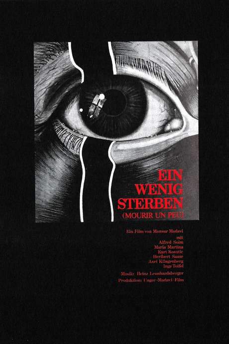 Dying Bit by Bit (1981) movie poster