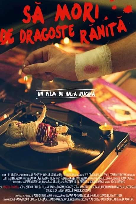 Dying from a Wound of Love (2014) movie poster