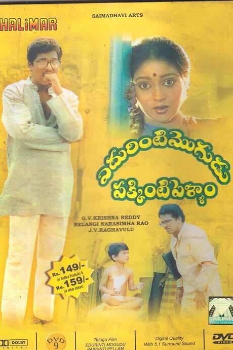 Edurinti Mogudu Pakkinti Pellam (1991) movie poster