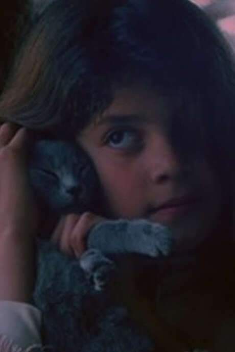 El eco (1984) movie poster
