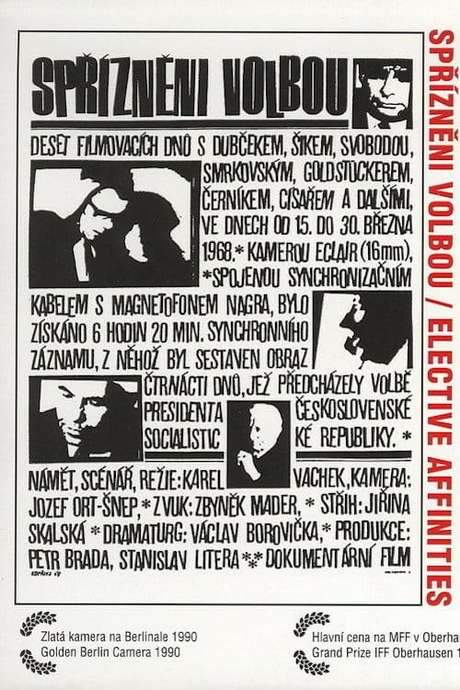 Elective Affinities (1968) movie poster