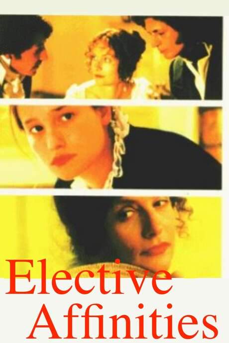 Elective Affinities (1996) movie poster