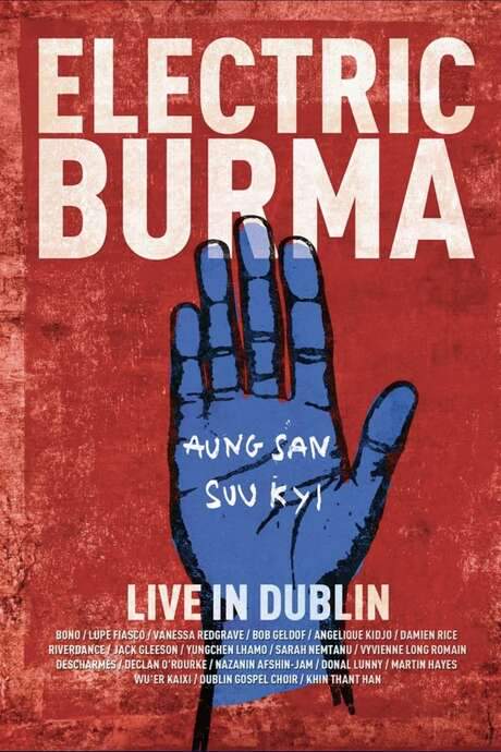 Electric Burma: The Concert for Aung San Suu Kyi - Words I Never Said (2016) movie poster