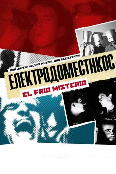 Electrodomésticos: El frío misterio (2010) movie poster