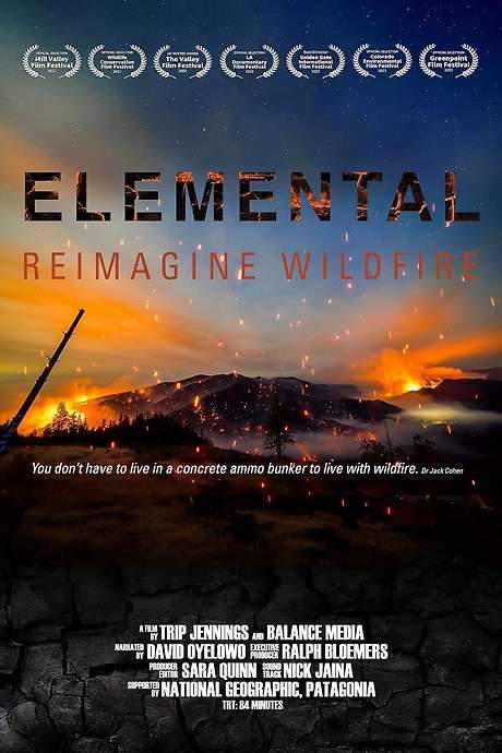 Elemental: Reimagine Wildfire (2022) movie poster