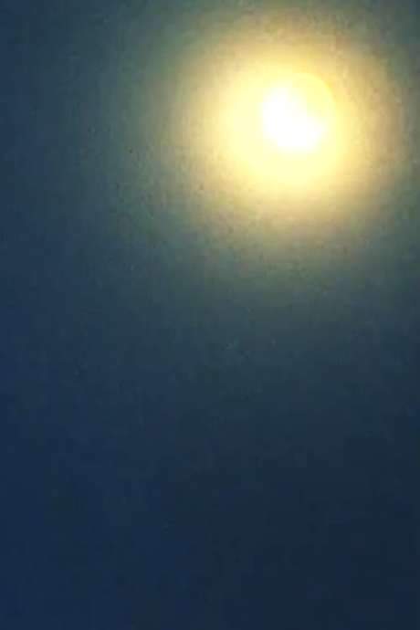 An atmospheric, largely empty landscape reveals the lingering presence of ghosts inhabiting snowy, fog‑shrouded woods, the slow drift of the moon, and the tentative movement of clouds. The film explores place on both macro and micro scales, punctuated by a few shadowy figures whose gestures interlock in a quiet, rhythmic dialogue.
