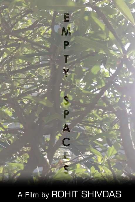 Empty Spaces (2015) movie poster