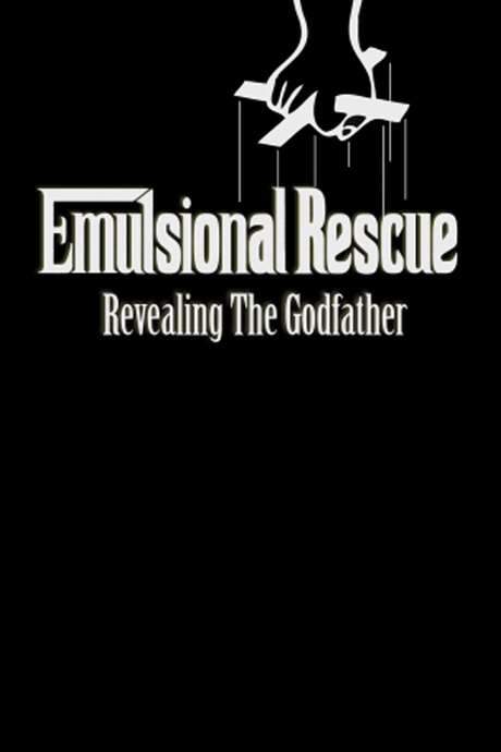 Emulsional Rescue: Revealing ‘The Godfather’ (2008) movie poster
