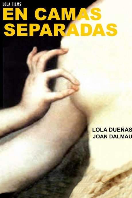 En camas separadas (2003) movie poster