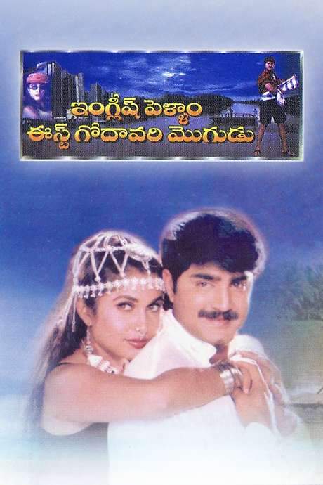 English Pellam East Godavari Mogudu (1999) movie poster