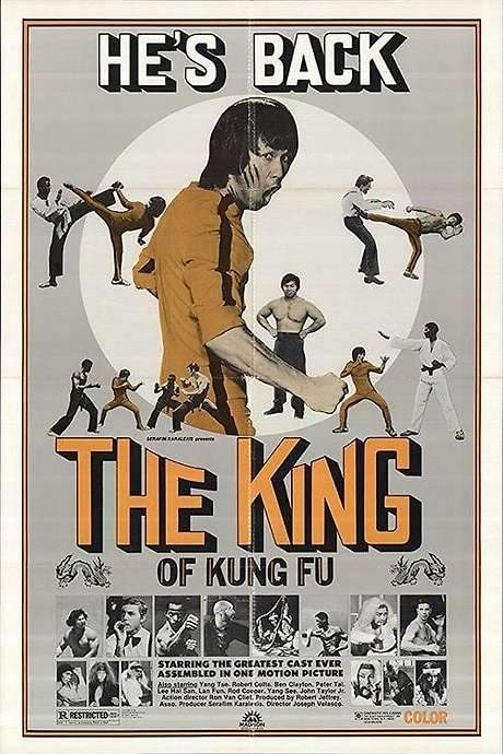 Enter the Game of Death (1978) movie poster
