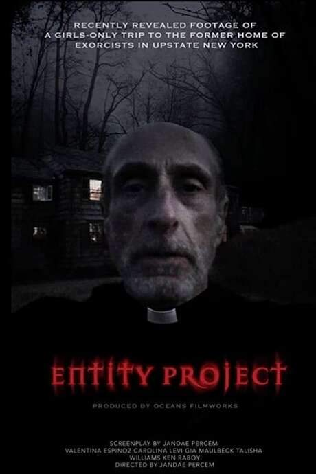 Entity Project (2019) movie poster