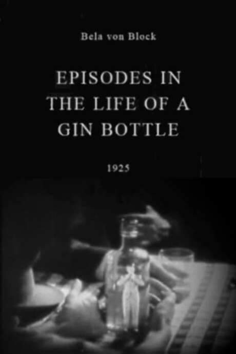 Episodes in the Life of a Gin Bottle (1925) movie poster