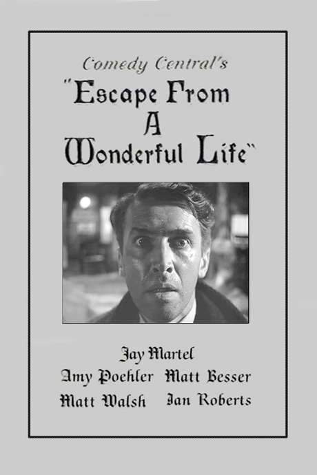 Escape From a Wonderful Life (1996) movie poster