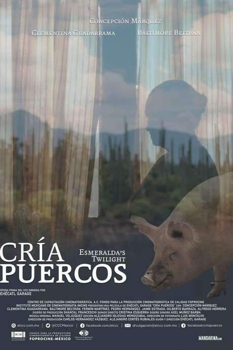 Esmeralda’s Twilight (2018) movie poster