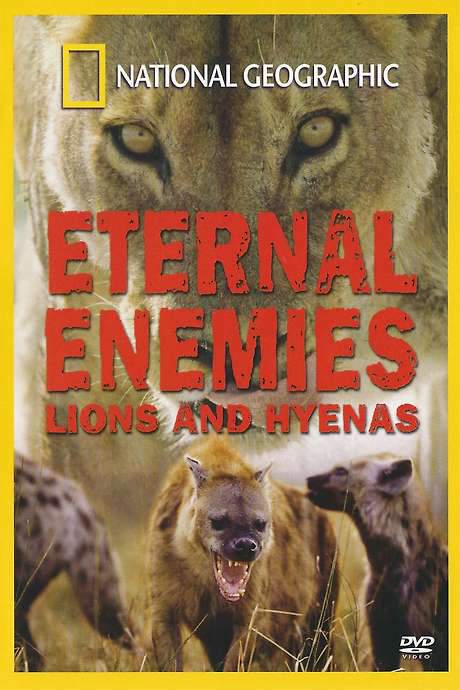 Eternal Enemies: Lions and Hyenas (1992) movie poster