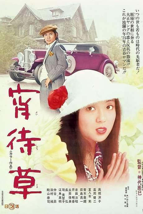 Evening Primrose (1974) movie poster