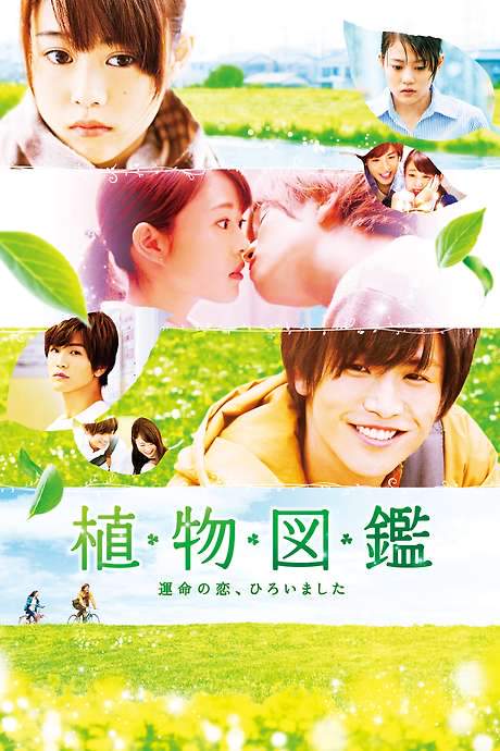 Evergreen Love (2016) movie poster