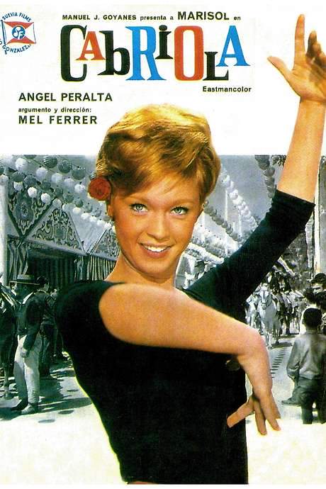 Every Day Is a Holiday (1965) movie poster