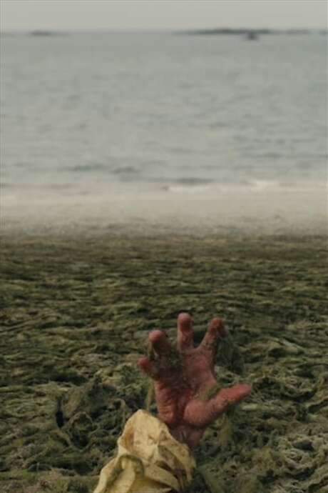 Evil Seaweed (2022) movie poster