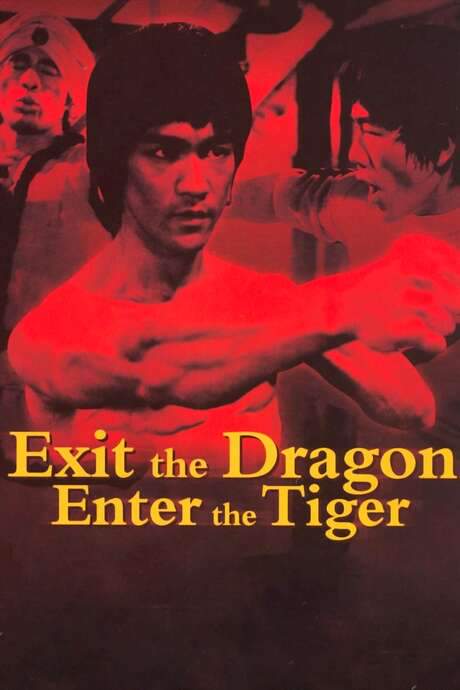 Exit the Dragon, Enter the Tiger (1976) movie poster