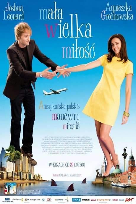 Expecting Love (2008) movie poster