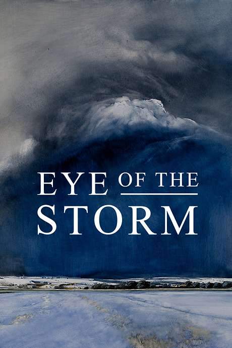 Eye of the Storm (2021) movie poster