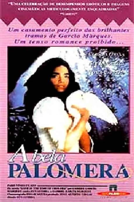 Fable of the Beautiful Pigeon-Fancier (1988) movie poster