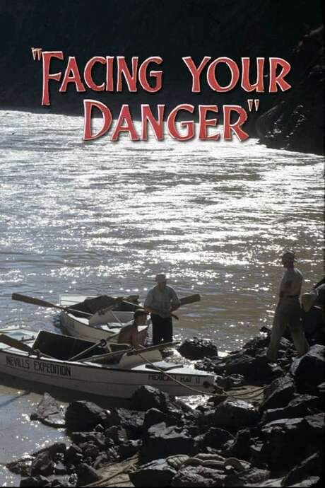 Facing Your Danger (1946) movie poster