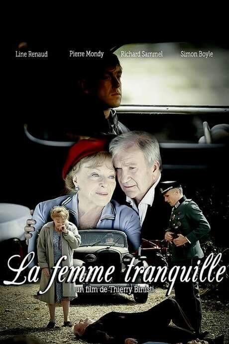 Fallen from the Sky (2008) movie poster