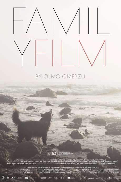 Family Film (2016) movie poster