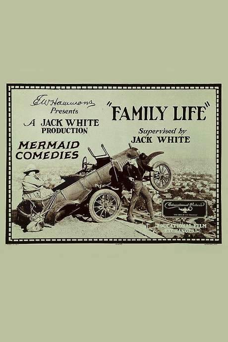 Family Life (1924) movie poster