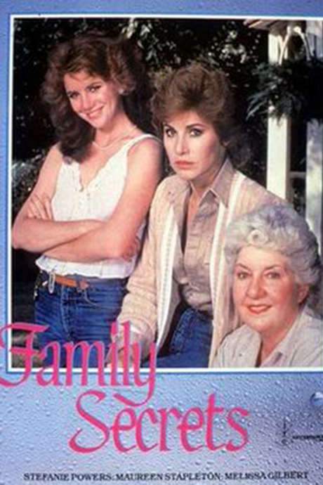 Family Secrets (1984) movie poster