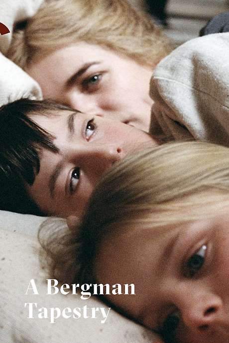 Fanny & Alexander: A Bergman Tapestry (2004) movie poster