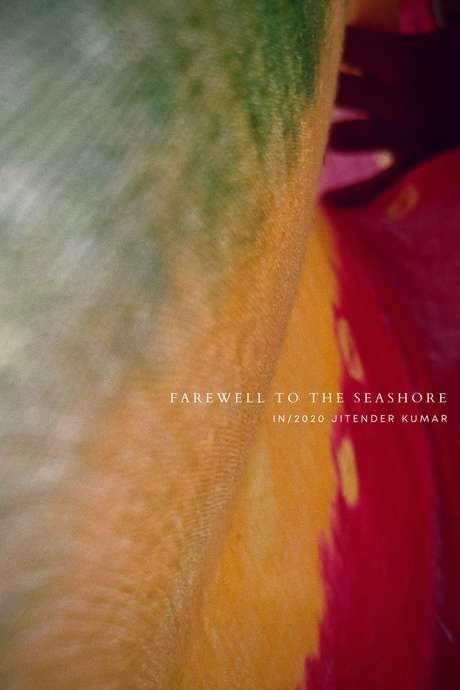 Farewell to the Seashore (2020) movie poster