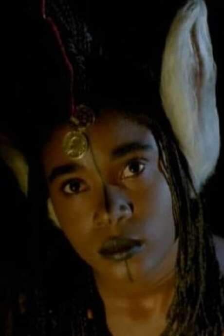 Fary the Donkey (1990) movie poster