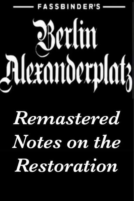Fassbinder’s Berlin Alexanderplatz Remastered: Notes on the Restoration (2007) movie poster