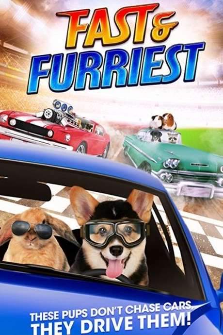 Fast and Furriest (2017) movie poster
