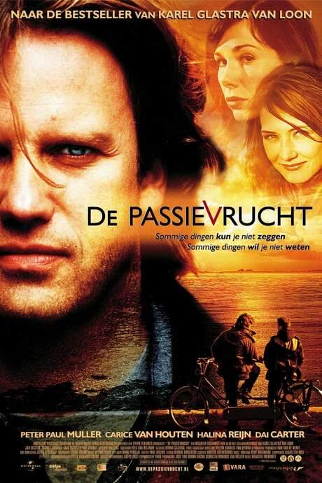 Father’s Affair (2003) movie poster
