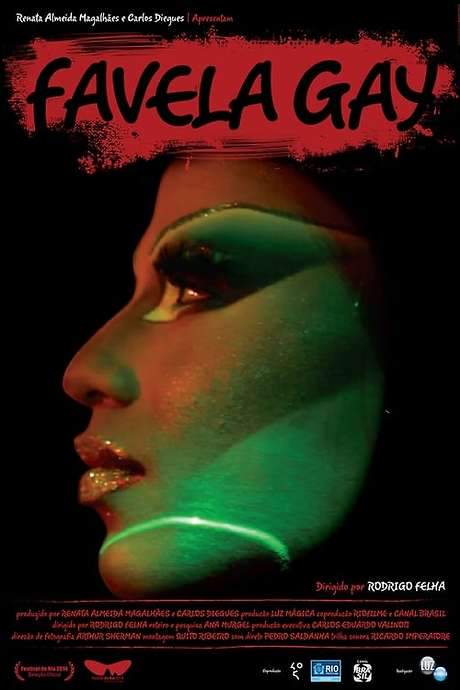 Favela Gay (2014) movie poster