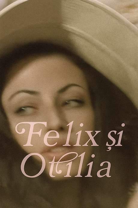 Felix and Otilia (1972) movie poster