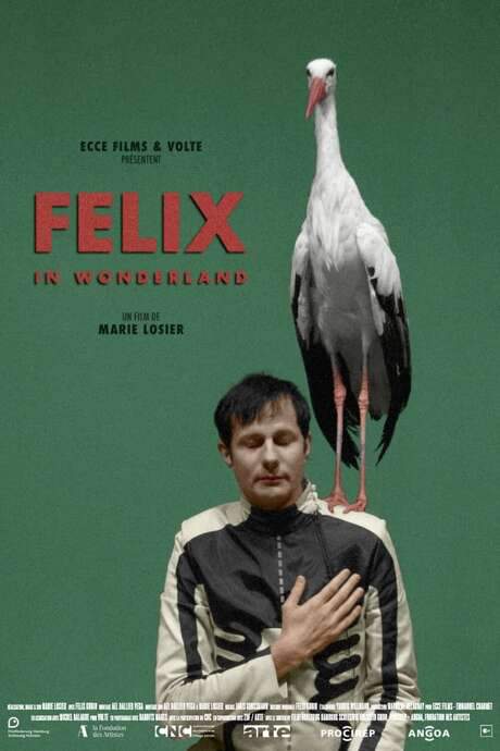 Felix in Wonderland (2019) movie poster