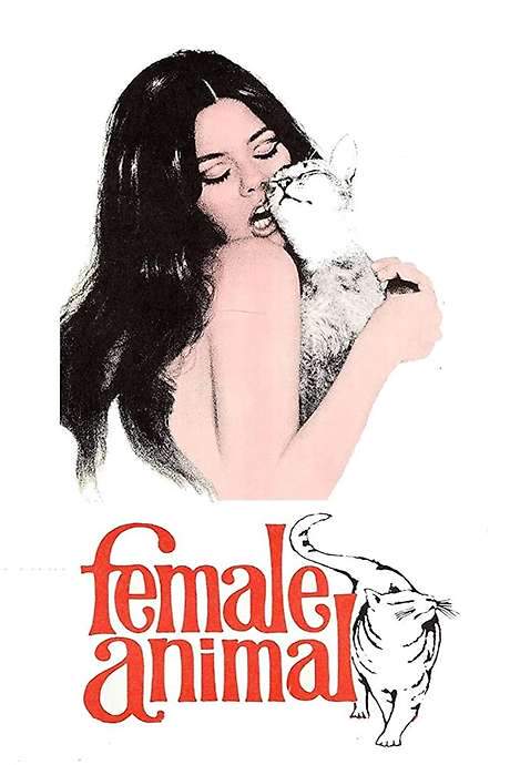 Female Animal (1970) movie poster