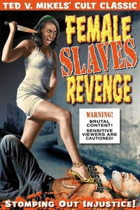 Female Slaves Revenge (1997) movie poster