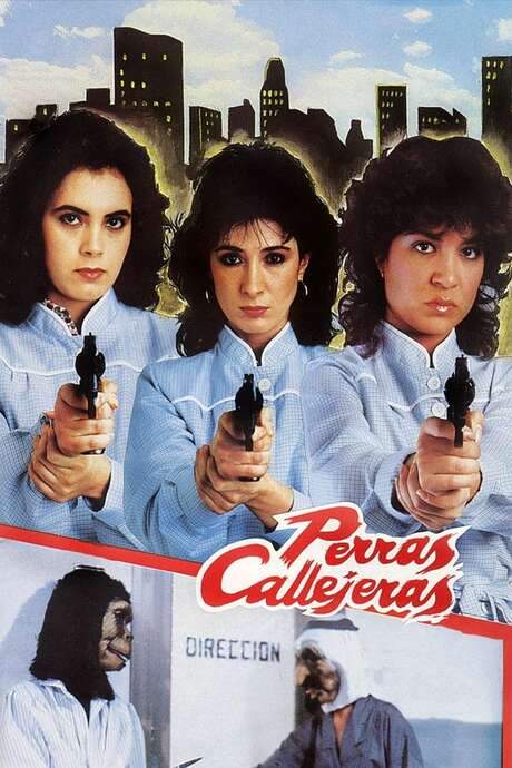 Female Street Dogs (1985) movie poster