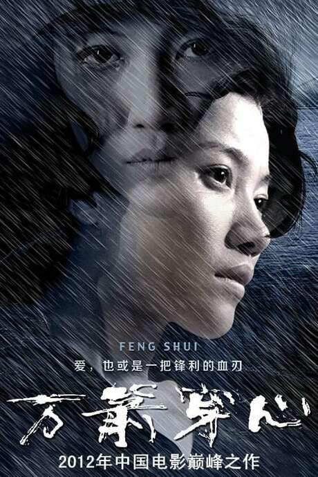 Feng Shui (2012) movie poster